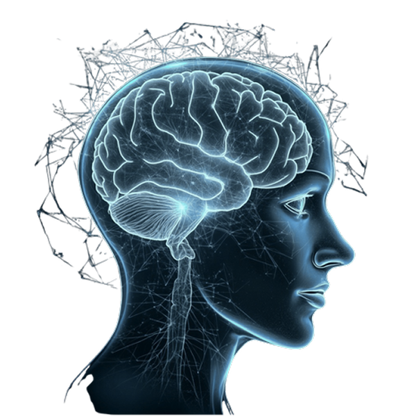 Neurokvantinio gydymo seansas